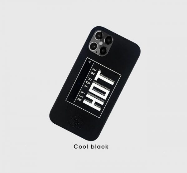 Santa Barbara Polo Egan Back Cover For IPhone 12 Mini (Black)